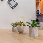 Cyv -centrally Located 1 Bed 1 Bath Near The Fuengirola